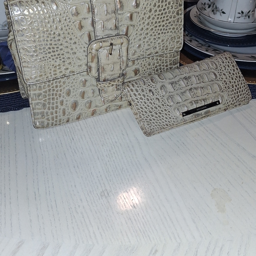 Brahmin Mini Francine Bag n matching wallet